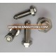 Blind Bolt and Hollo Anchor Bolt for Construction Hardware